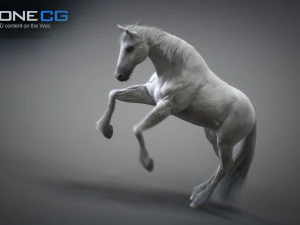 Animated horses 3dsmax 3D Model