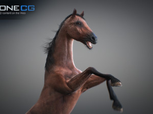 Animated horses 3dsmax 3D Model
