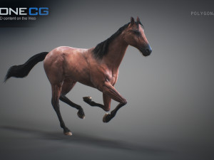 Animated horses 3dsmax 3D Model