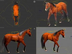 Animated horses 3dsmax 3D Model