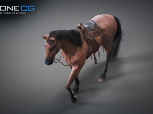 Animated horses 3dsmax 3D Model