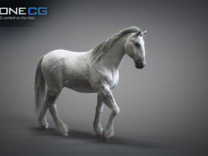 Animated horses 3dsmax 3D Model