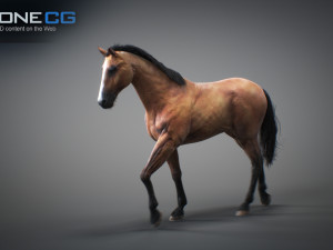 Animated horses 3dsmax 3D Model