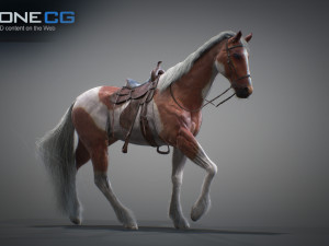 Animated horses 3dsmax 3D Model