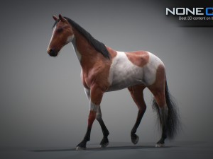 Animated horses 3dsmax 3D Model