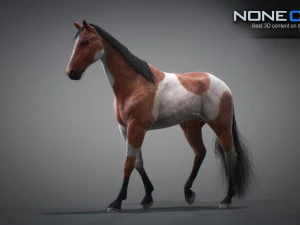 Animated horses 3dsmax 3D Model