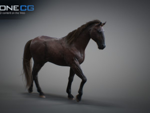 Animated horses 3dsmax 3D Model