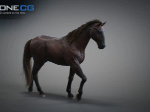 Animated horses 3dsmax 3D Model