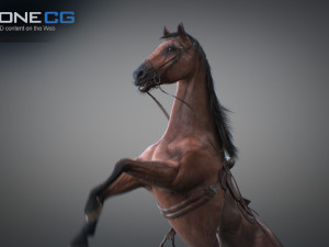Animated horses 3dsmax 3D Model