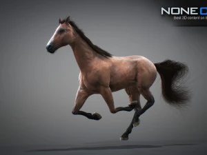 Animated horses 3dsmax 3D Model
