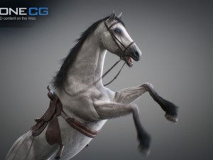 Animated horses 3dsmax 3D Model