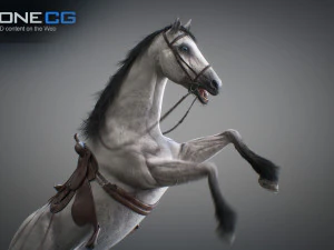Animated horses 3dsmax 3D Model