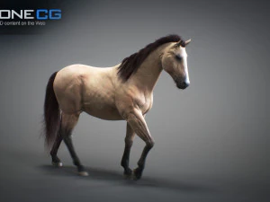 Animated horses 3dsmax 3D Model