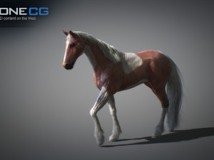 Animated horses 3dsmax 3D Model