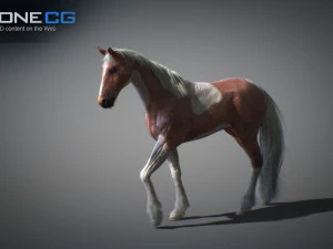 Animated horses 3dsmax 3D Model
