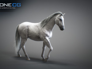 Animated horses 3dsmax 3D Model