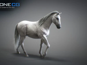 Animated horses 3dsmax 3D Model