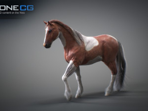 Animated horses 3dsmax 3D Model