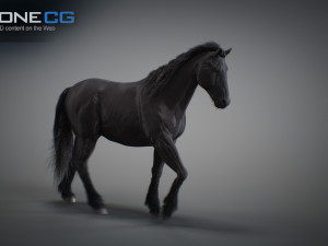 Animated horses 3dsmax 3D Model
