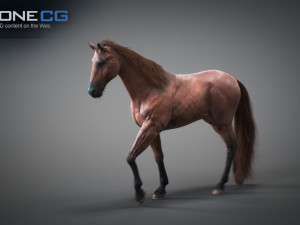 Animated horses 3dsmax 3D Model