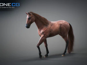 Animated horses 3dsmax 3D Model