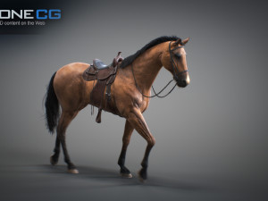 Animated horses 3dsmax 3D Model
