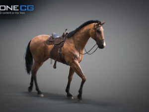 Animated horses 3dsmax 3D Model