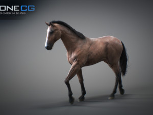 Animated horses 3dsmax 3D Model