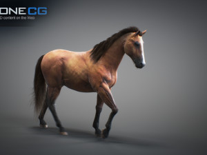 Animated horses 3dsmax 3D Model