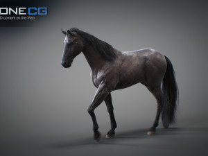 Animated horses 3dsmax 3D Model