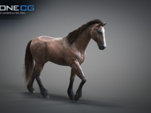 Animated horses 3dsmax 3D Model