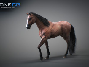 Animated horses 3dsmax 3D Model