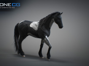 Animated horses 3dsmax 3D Model
