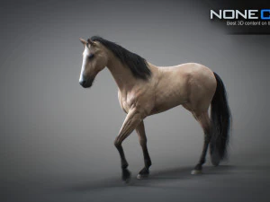 Animated horses 3dsmax 3D Model
