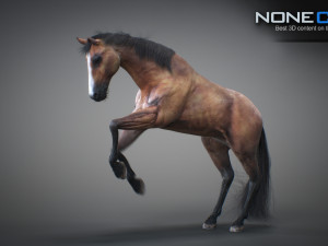 Animated horses 3dsmax 3D Model