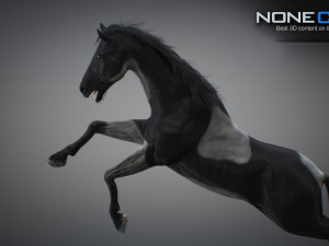 Animated horses 3dsmax 3D Model