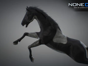 Animated horses 3dsmax 3D Model