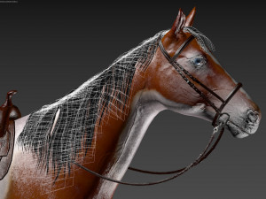 Animated horses 3dsmax 3D Model