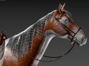 Animated horses 3dsmax 3D Model