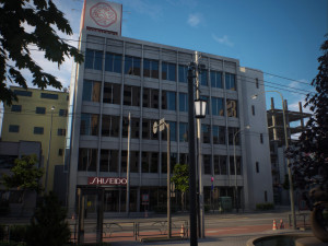 Japan 8 blocks 34 buildings Modelo 3D