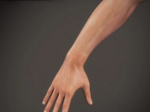 Animated male tom 3D Model