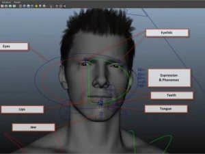 Animated male tom 3D Model
