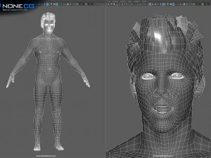 Animated male tom 3D Model