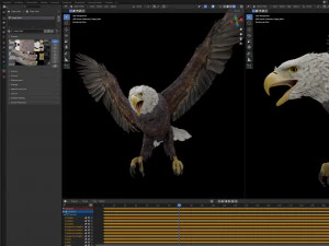 Animated Eagles 3D Model