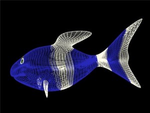 clownfish 3D Model