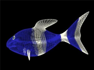 clownfish 3D Model
