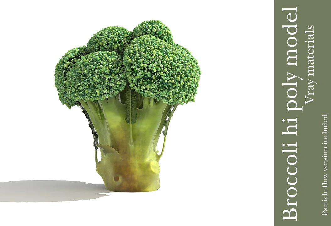 broccoli plant 3D Model .c4d .max .obj .3ds .fbx .stl .blend