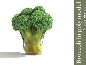 broccoli plant 3Dモデル