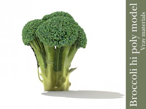 broccoli plant Modelo 3D