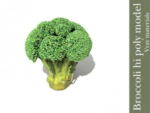 broccoli plant 3D Model